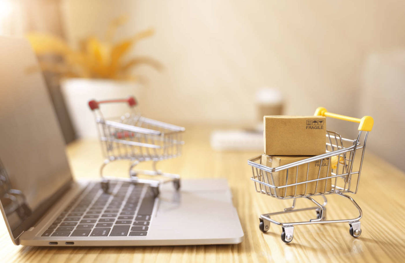 The Role of Data-Driven Customer Experience in Direct to Consumer Marketing