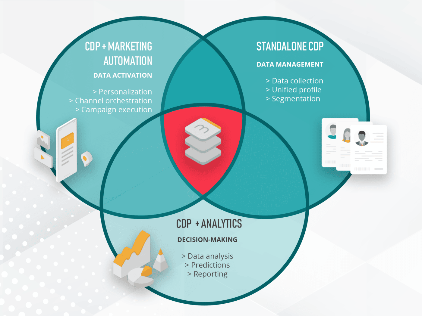 Diagram: Types of Customer Data Platforms 